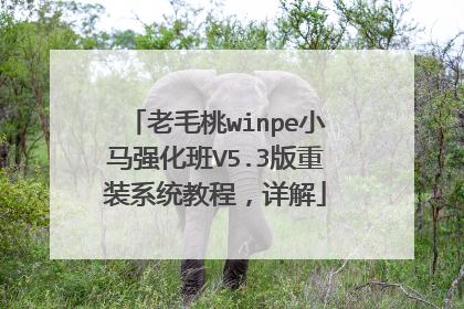 老毛桃winpe小马强化班V5.3版重装系统教程,详解