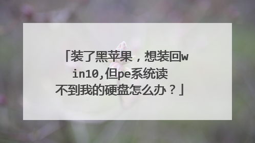 װ�˺�ƻ������װ��win10,��peϵͳ�������ҵ�Ӳ����ô�죿