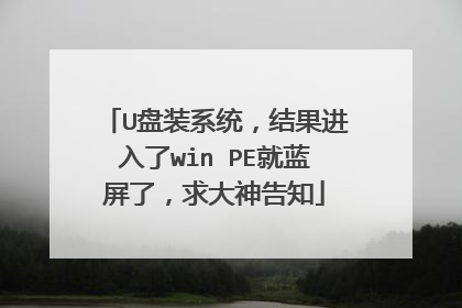 U盘装系统,结果进入了win PE就蓝屏了,求大神告知