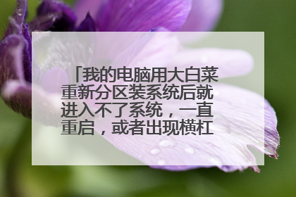 �ҵĵ����ô�ײ����·���װϵͳ��ͽ��벻��ϵͳ��һֱ���������߳��ֺ����˸����ôŪ��