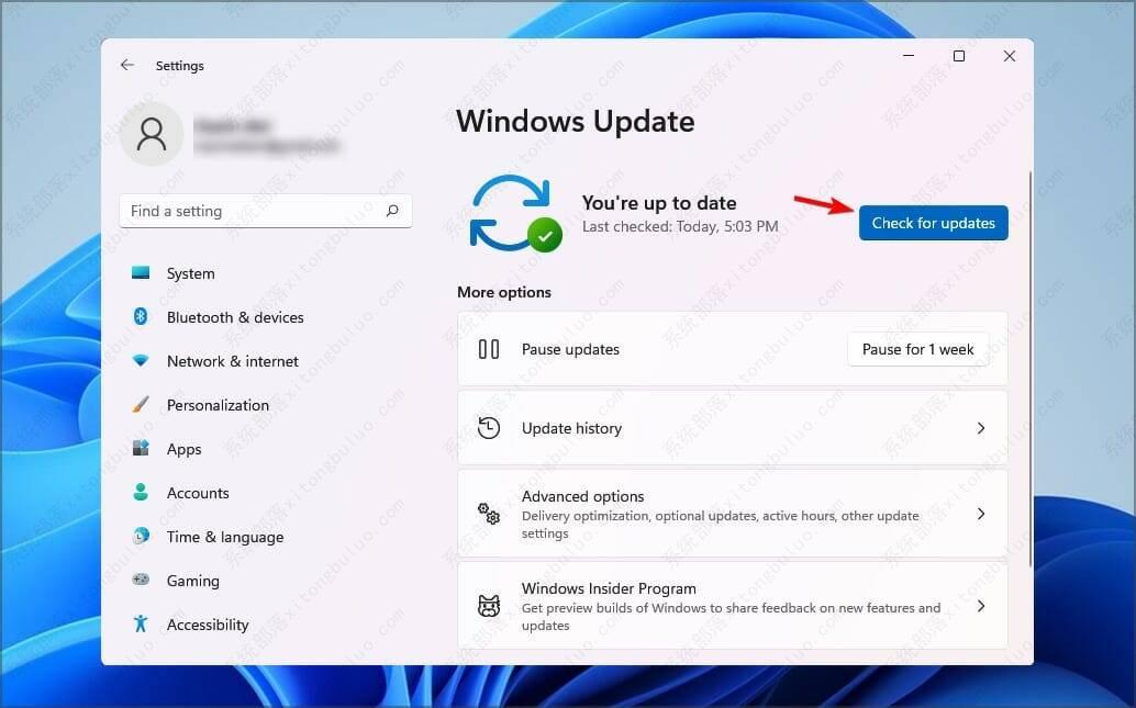 Win11�޷�ʶ�����߶�����ô�죿Win11ʶ�������߶������޸�����