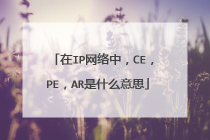 ��IP�����У�CE��PE��AR��ʲô��˼