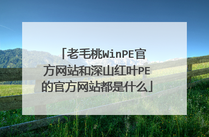 ��ë��WinPE�ٷ���վ����ɽ��ҶPE�Ĺٷ���վ����ʲô