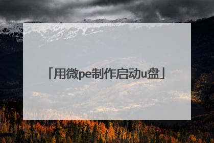 ��΢pe��������u��