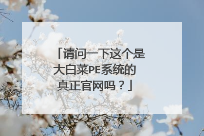 请问一下这个是大白菜PE系统的真正官网吗?