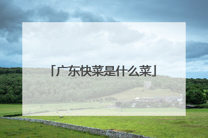 �㶫�����ʲô��