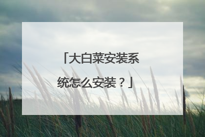 大白菜安装系统怎么安装?