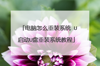 ������ô��װϵͳ U����U����װϵͳ�̳�