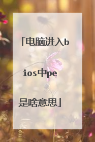 ���Խ���bios��pe��ɶ��˼