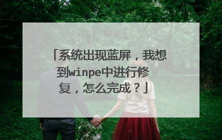 ϵͳ�������������뵽winpe�н����޸�����ô��ɣ�