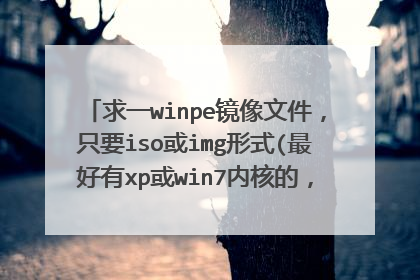 ��һwinpe�����ļ���ֻҪiso��img��ʽ(�����xp��win7�ں˵ģ���Ҫim_��is_����