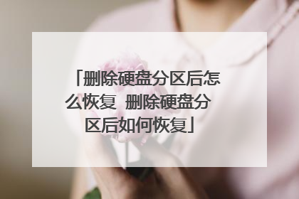 ɾ��Ӳ�̷�������ô�ָ� ɾ��Ӳ�̷�������λָ�